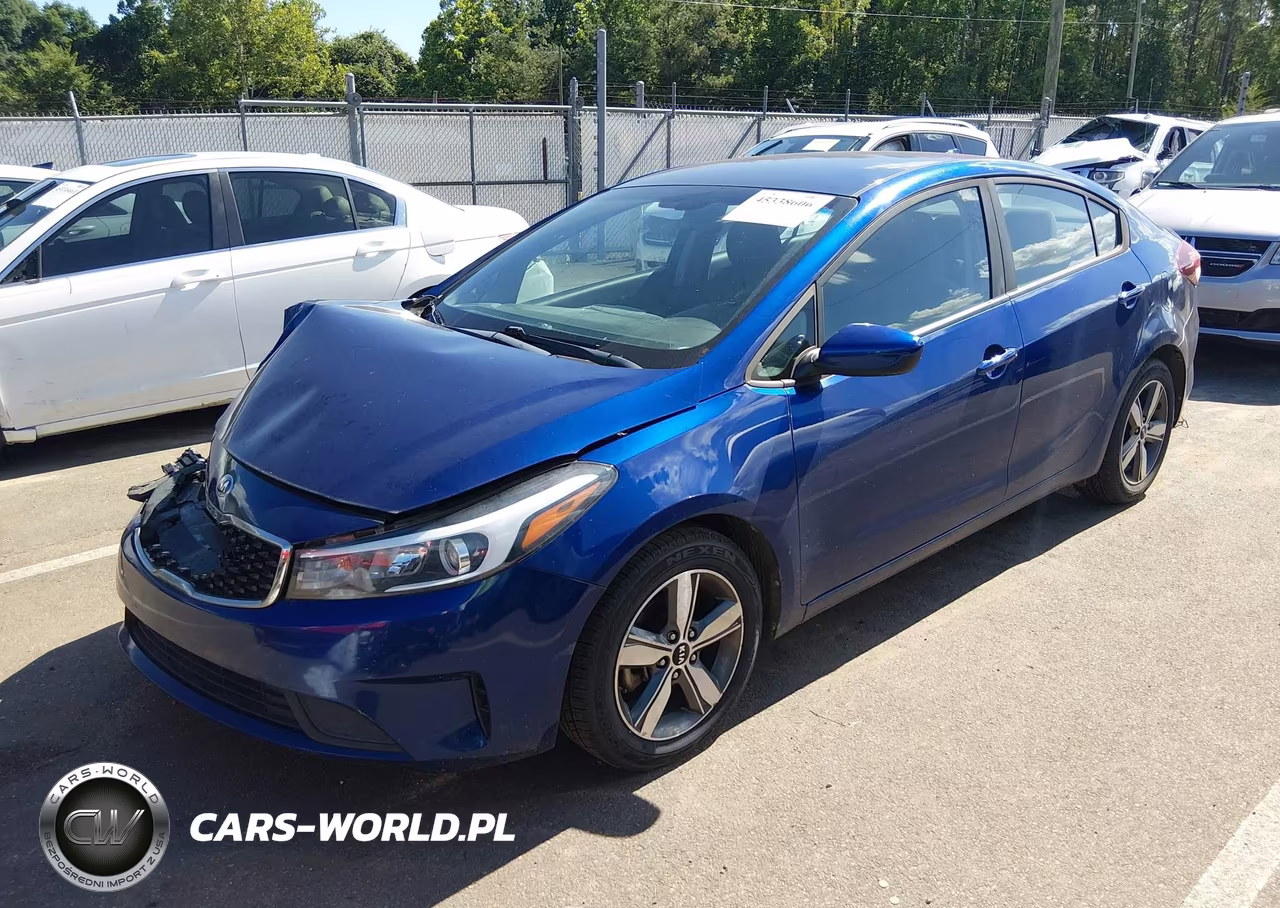 2018 Kia Forte Lx VIN:3KPFL4A75JE194571 - 2
