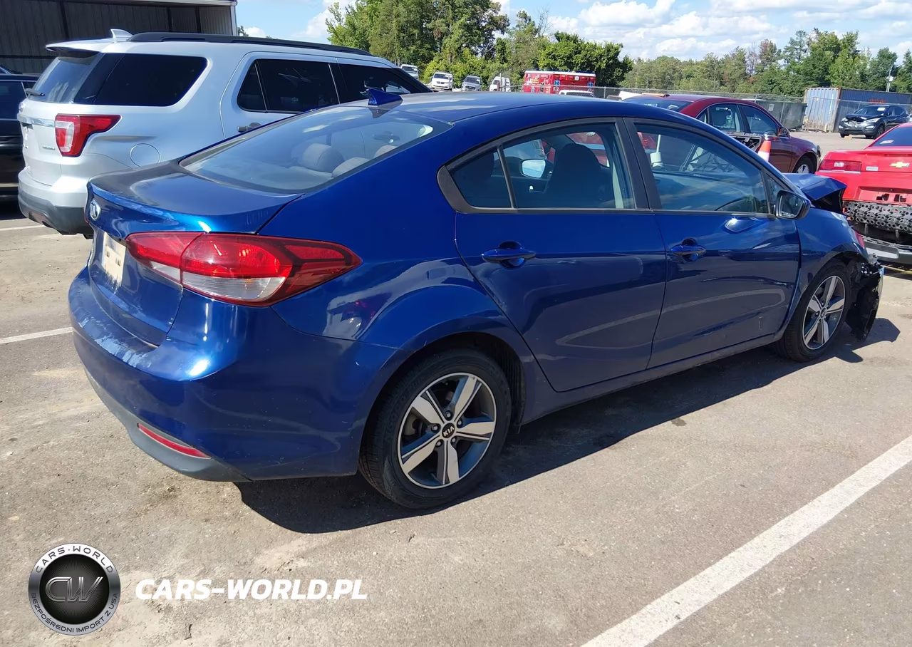 2018 Kia Forte Lx VIN:3KPFL4A75JE194571 - 4
