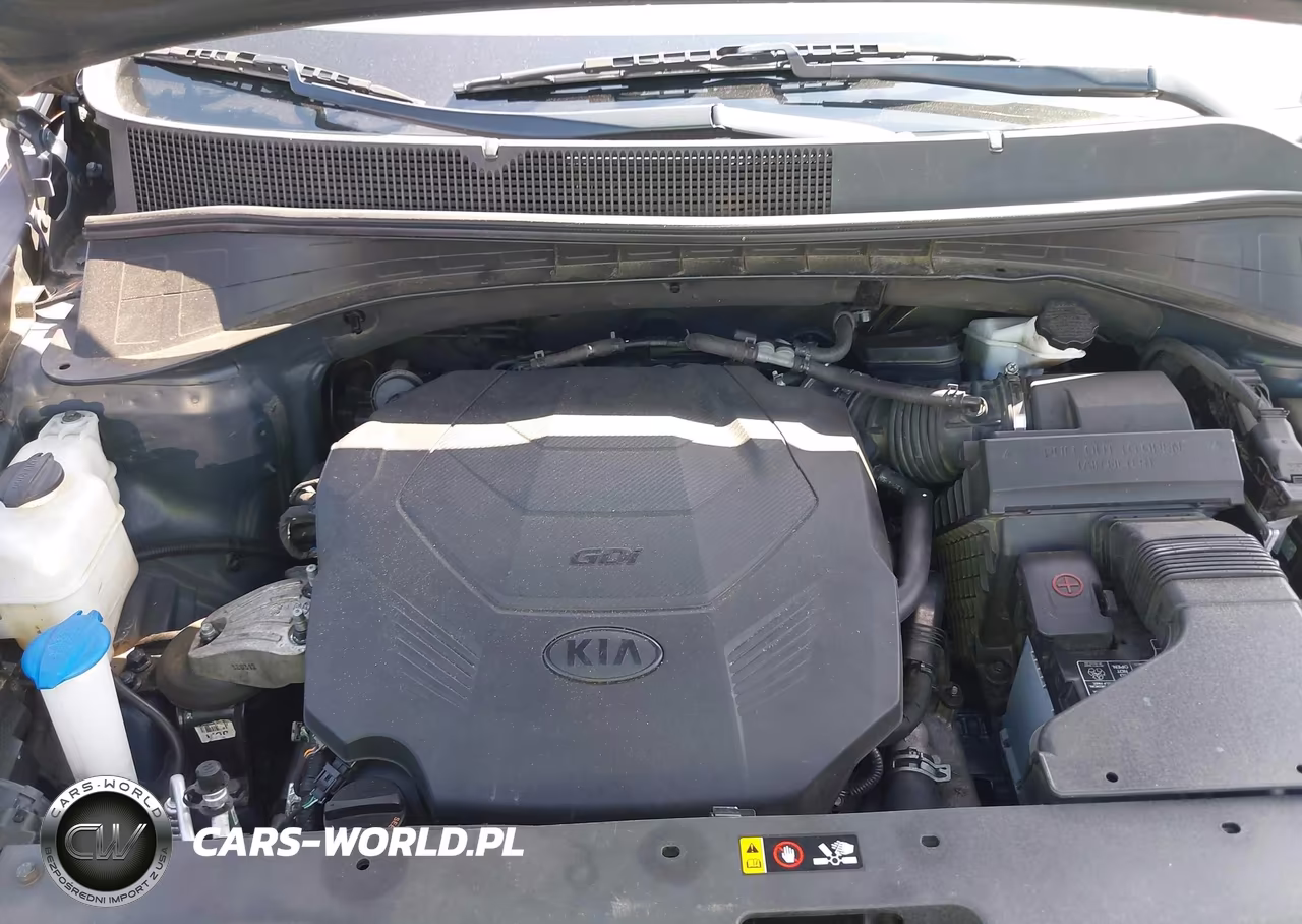 2019 Kia Sorento 3.3L Lx VIN:5XYPG4A57KG490493 - 10