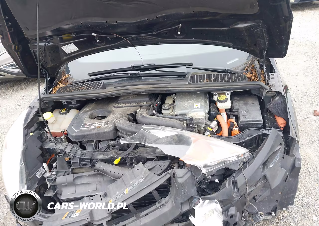 2016 Ford C-Max Energi Sel VIN:1FADP5CU0GL116130 - 10