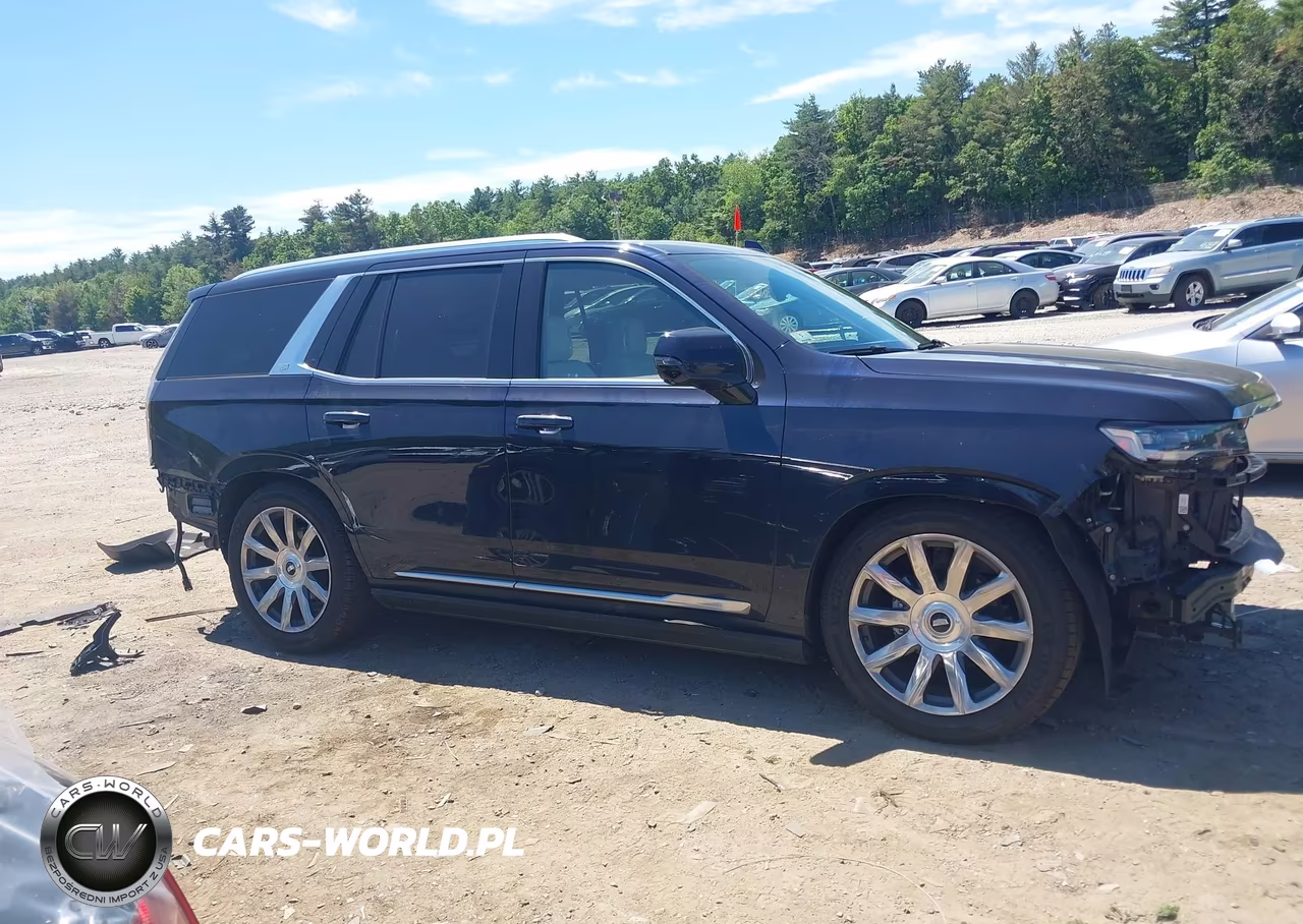 2021 Cadillac Escalade 4Wd Premium Luxury Platinum VIN:1GYS4DKL0MR309460 - 14