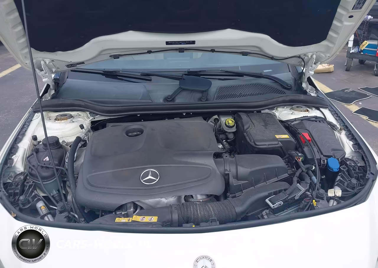 2015 Mercedes-Benz Cla 250 VIN:WDDSJ4EBXFN165174 - 10