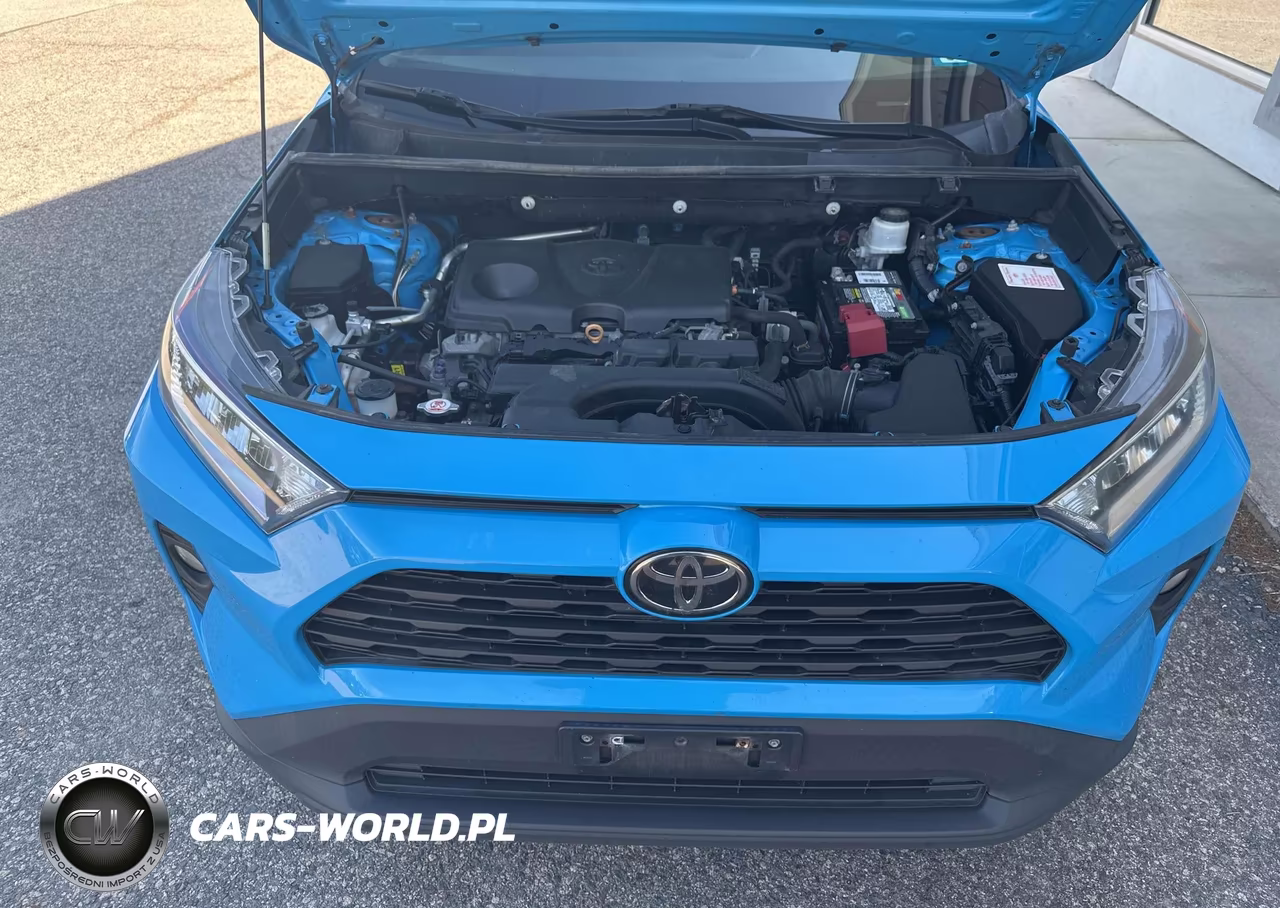 2019 Toyota Rav4 Xle VIN:2T3P1RFVXKC043442 - 10