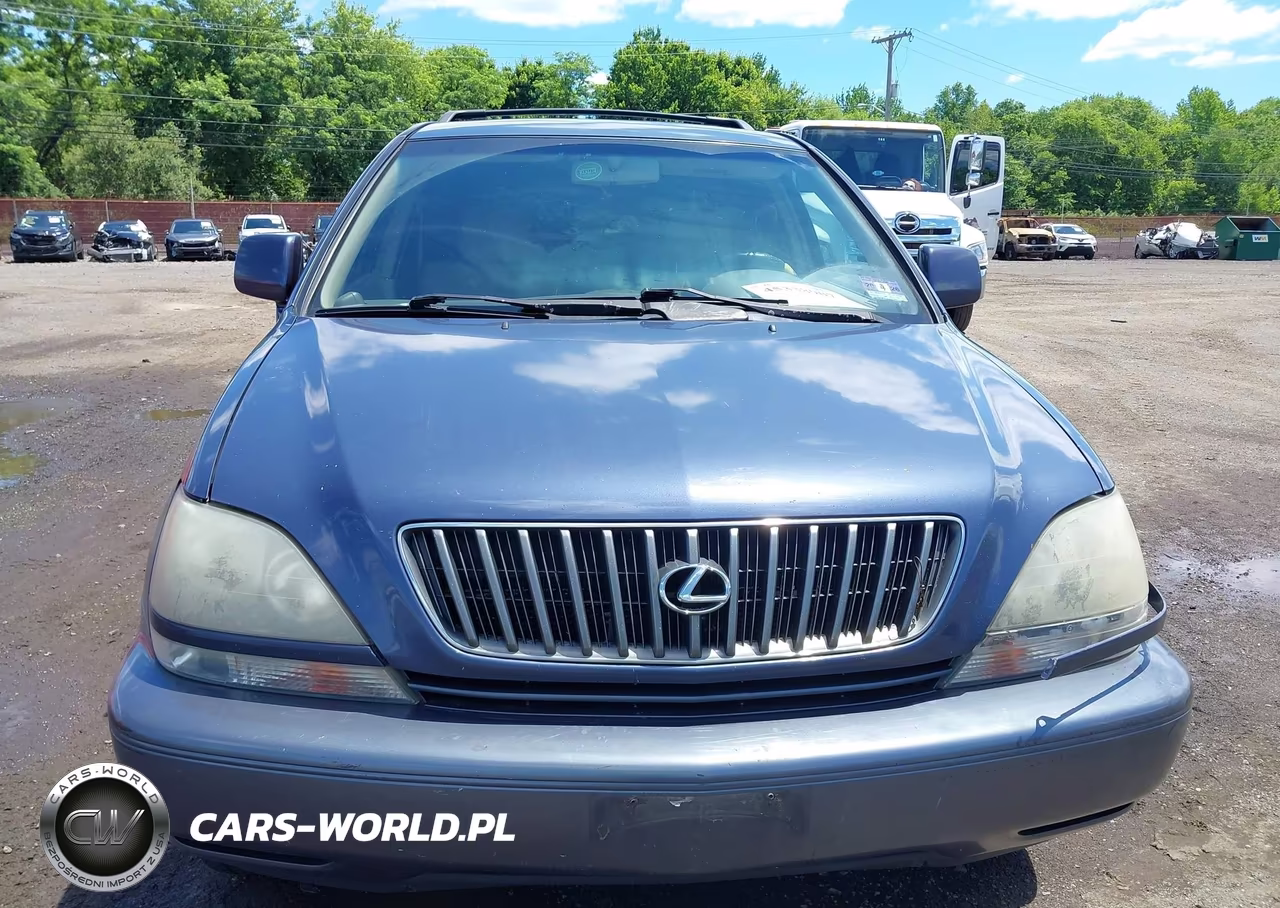 2000 Lexus Rx 300 VIN:JT6HF10U5Y0110412 - 12