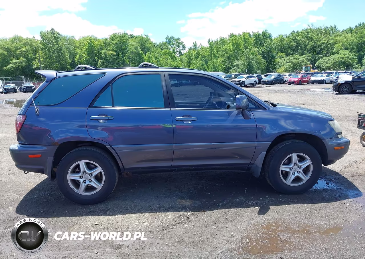 2000 Lexus Rx 300 VIN:JT6HF10U5Y0110412 - 13