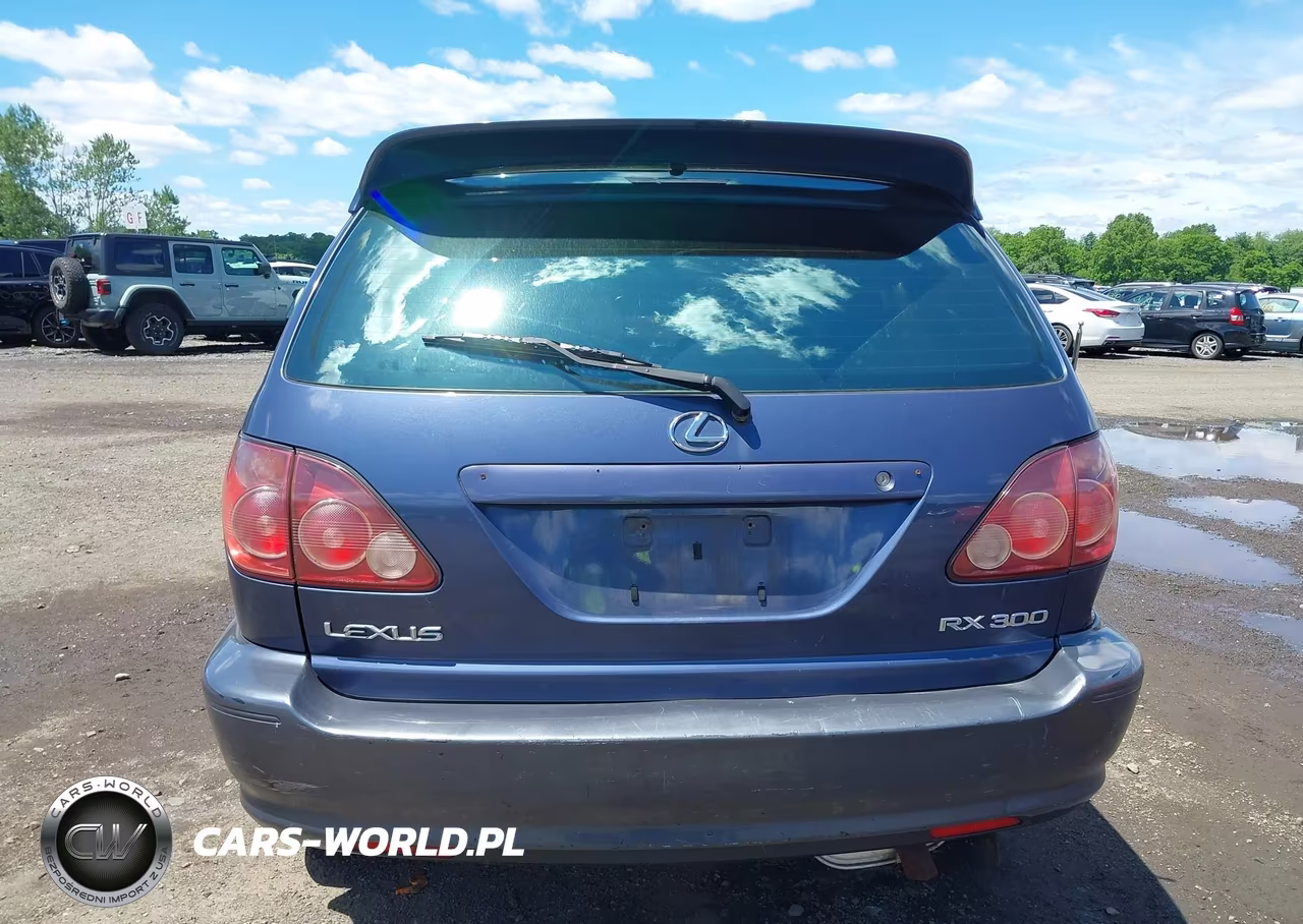 2000 Lexus Rx 300 VIN:JT6HF10U5Y0110412 - 16
