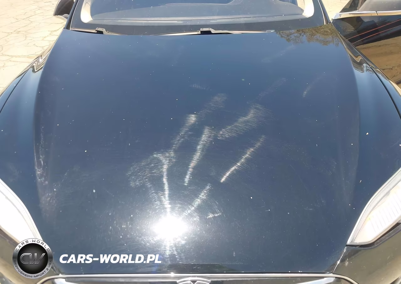 2012 Tesla Model S Performance-Signature Performance VIN:5YJSA1DP6CFS00082 - 10