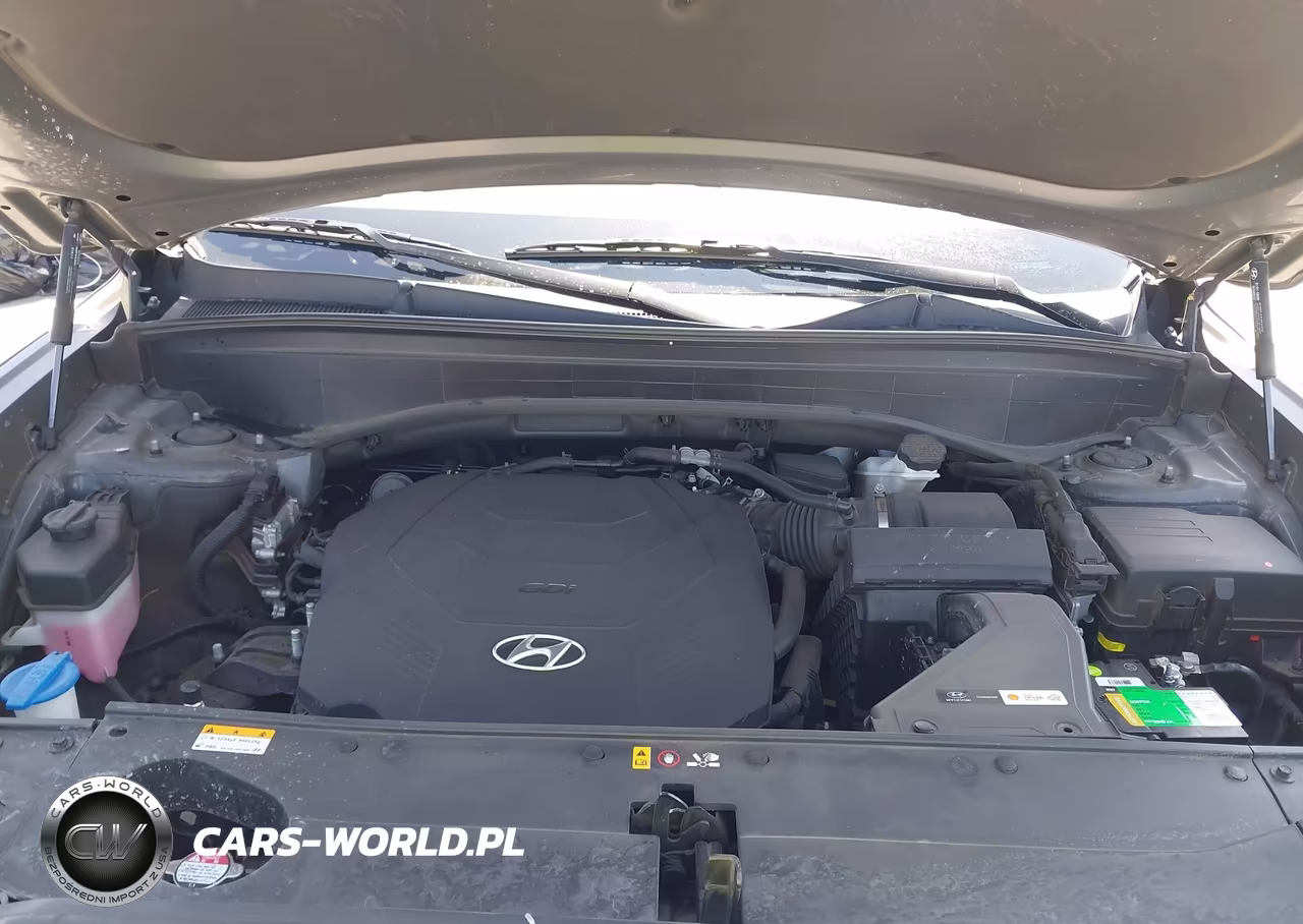 2022 Hyundai Palisade Calligraphy VIN:KM8R74HE0NU409654 - 10