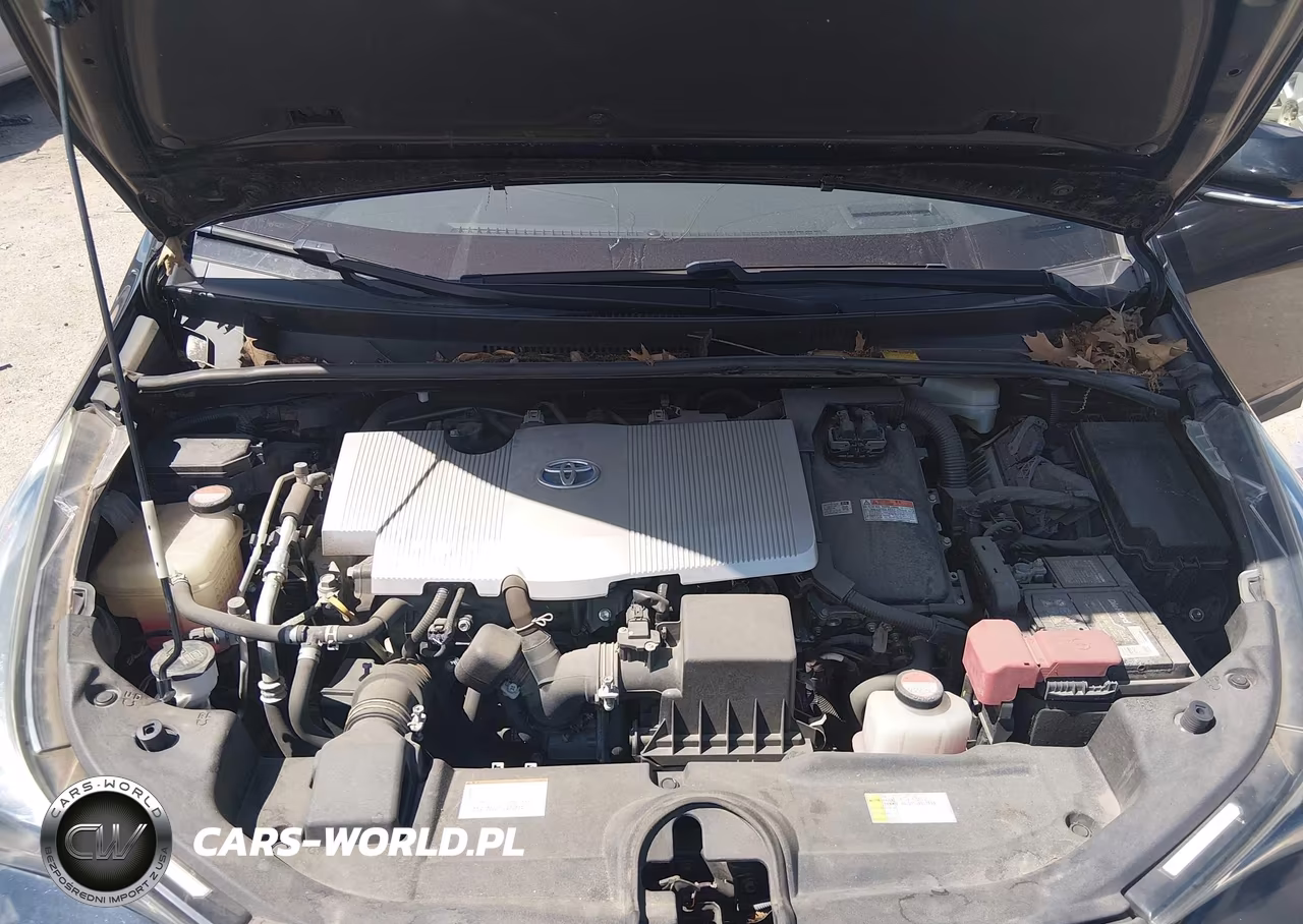 2016 Toyota Prius Three VIN:JTDKARFU7G3504719 - 10