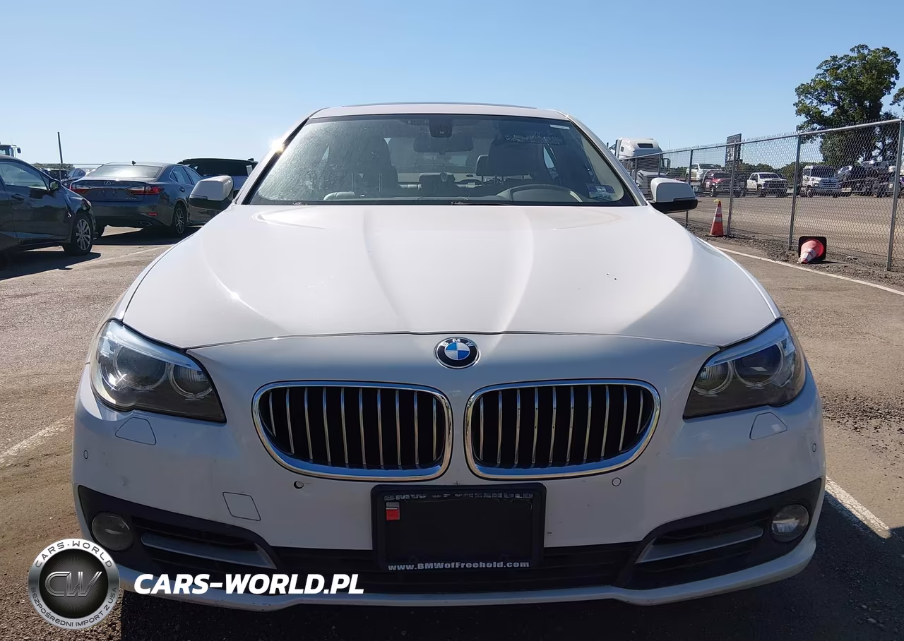 2015 BMW 528I xDrive VIN:WBA5A7C50FD623782 - 12