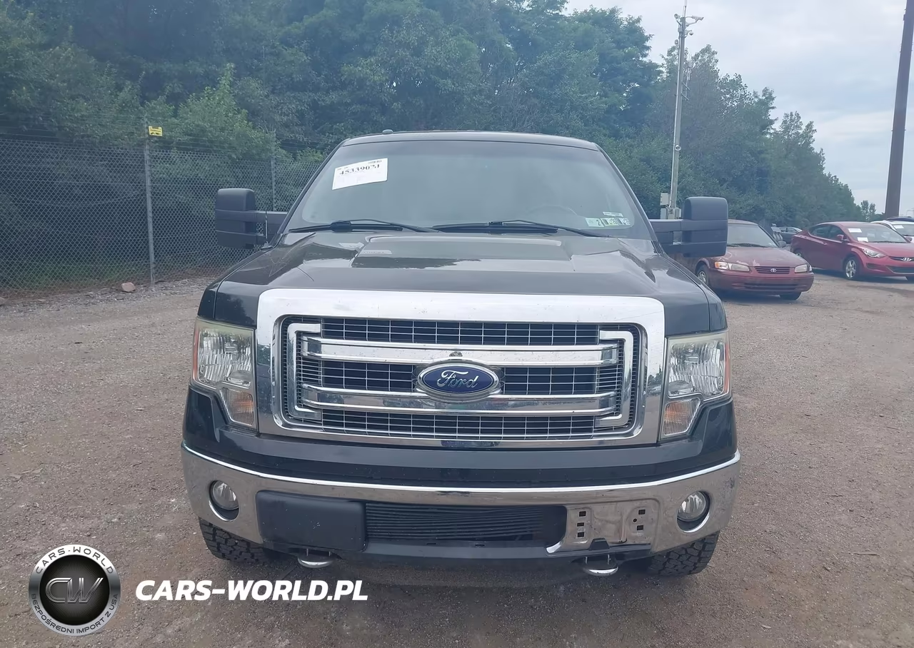 2013 Ford F-150 Xlt VIN:1FTFW1ET4DKE13342 - 13