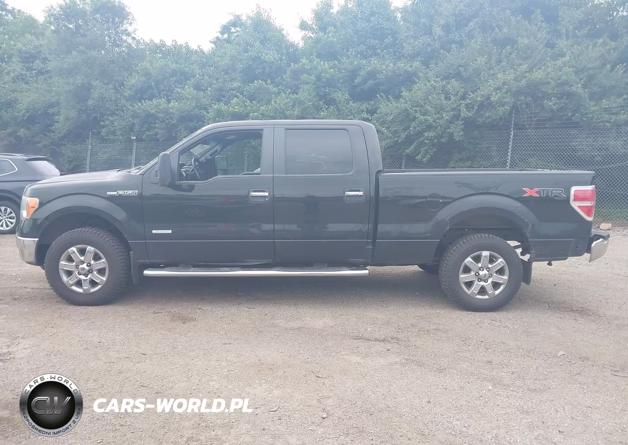 2013 Ford F-150 Xlt VIN:1FTFW1ET4DKE13342 - 15