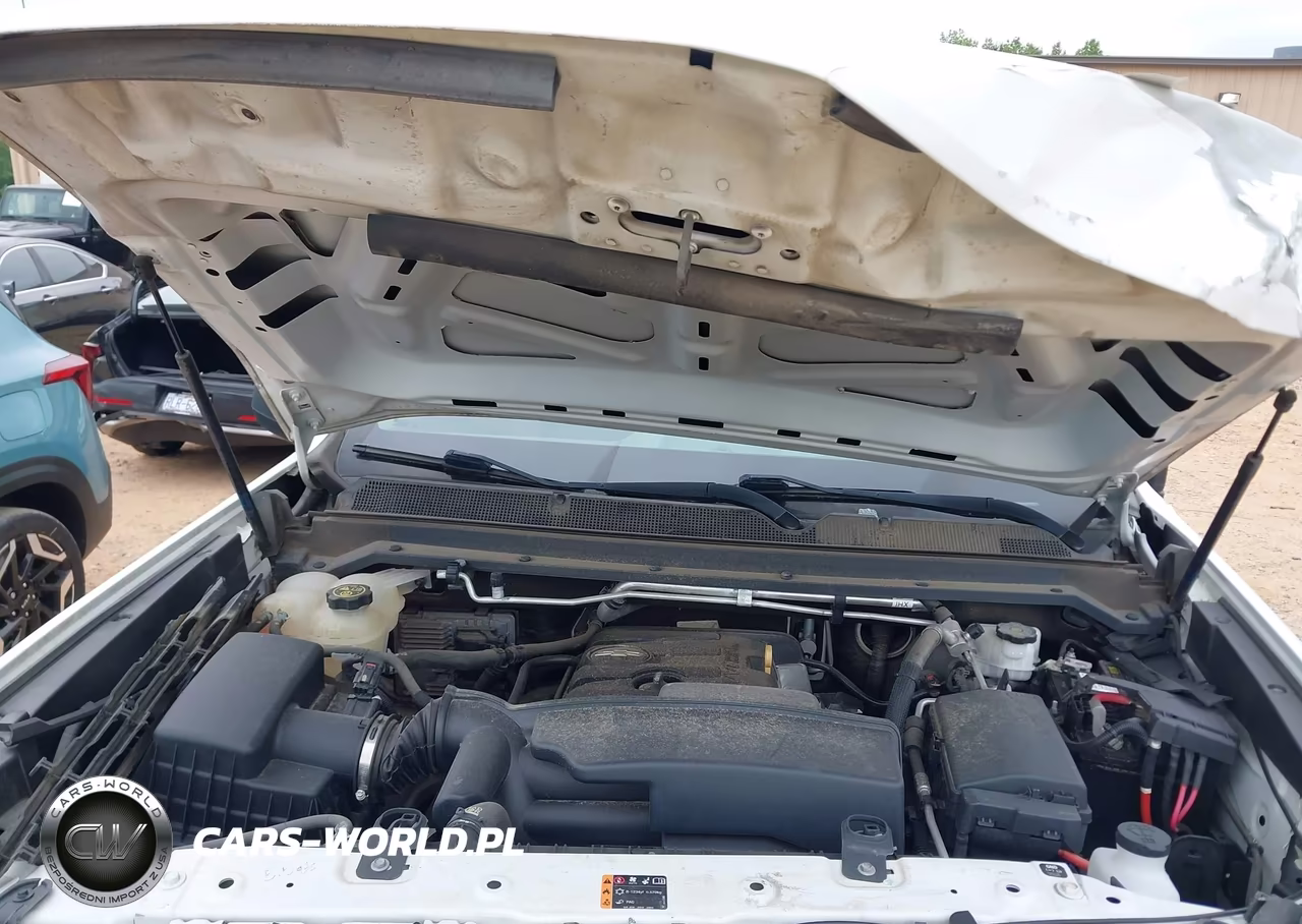 2020 Chevrolet Colorado 2Wd Long Box Wt VIN:1GCHSBEA6L1113752 - 10