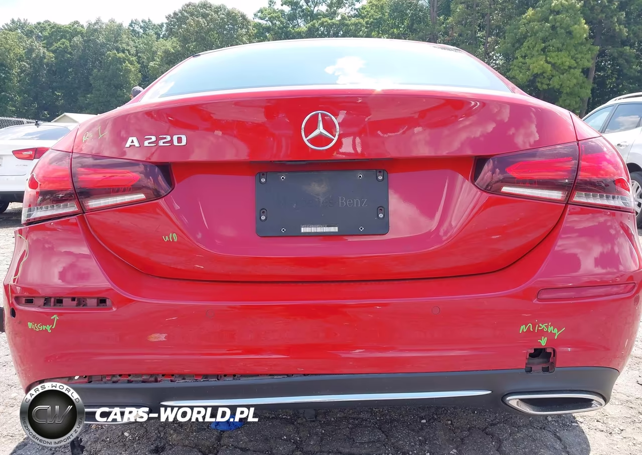2019 Mercedes-Benz A 220 VIN:WDD3G4EB0KW026310 - 16