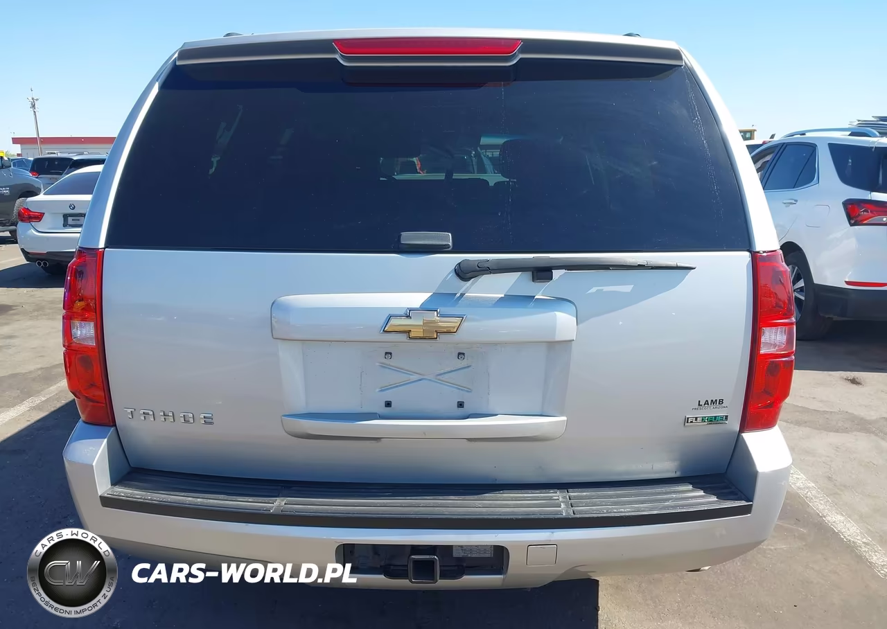 2010 Chevrolet Tahoe Ls VIN:1GNUCAE00AR261947 - 17