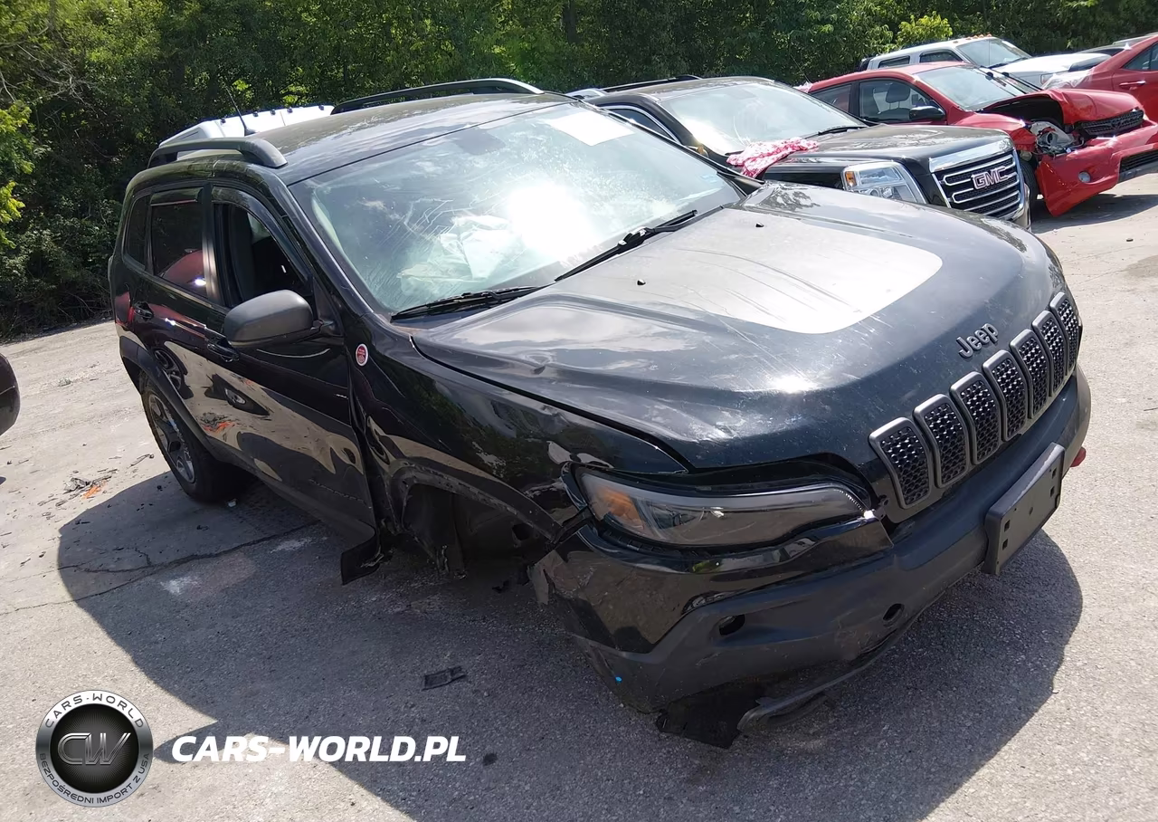 2019 Jeep Cherokee Trailhawk 4X4 VIN:1C4PJMBX8KD298578 - 1