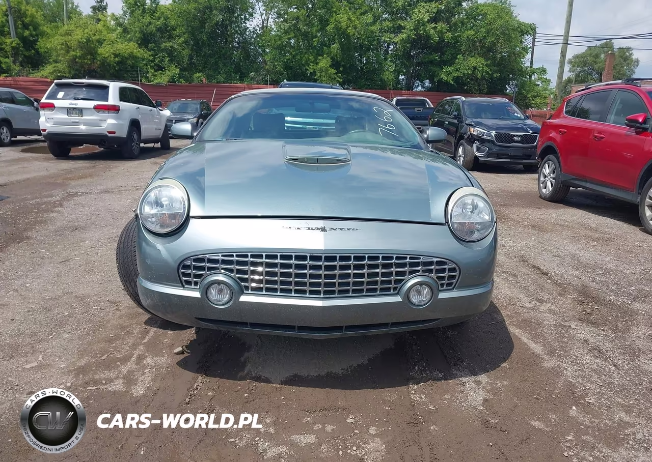 2004 Ford Thunderbird VIN:1FAHP63A54Y107662 - 12