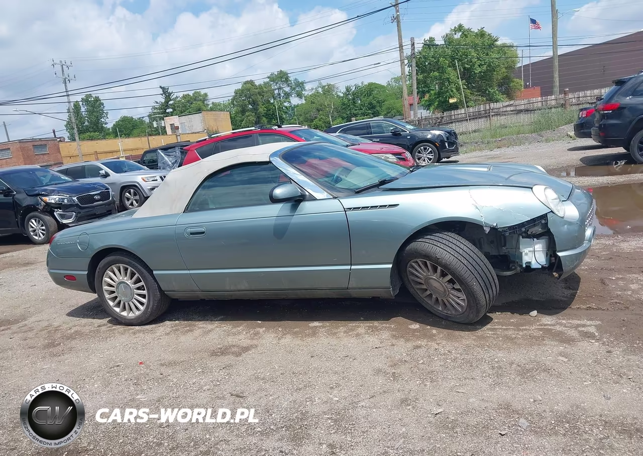 2004 Ford Thunderbird VIN:1FAHP63A54Y107662 - 13