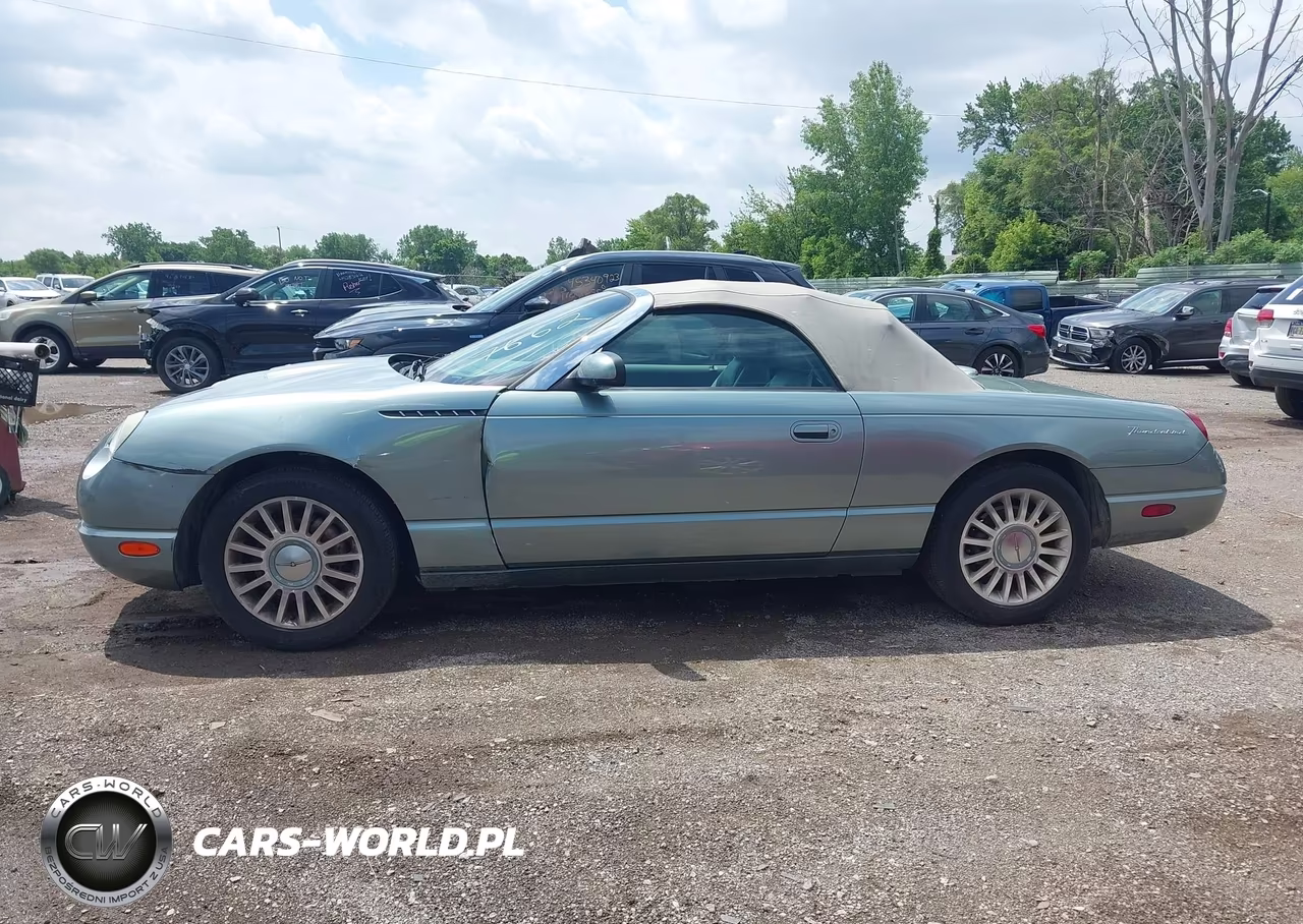 2004 Ford Thunderbird VIN:1FAHP63A54Y107662 - 14