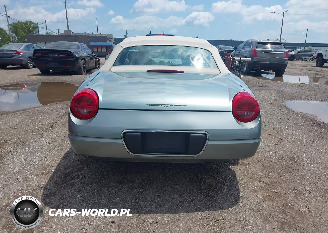 2004 Ford Thunderbird VIN:1FAHP63A54Y107662 - 16