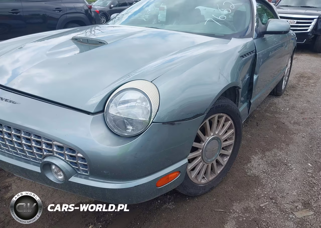 2004 Ford Thunderbird VIN:1FAHP63A54Y107662 - 17