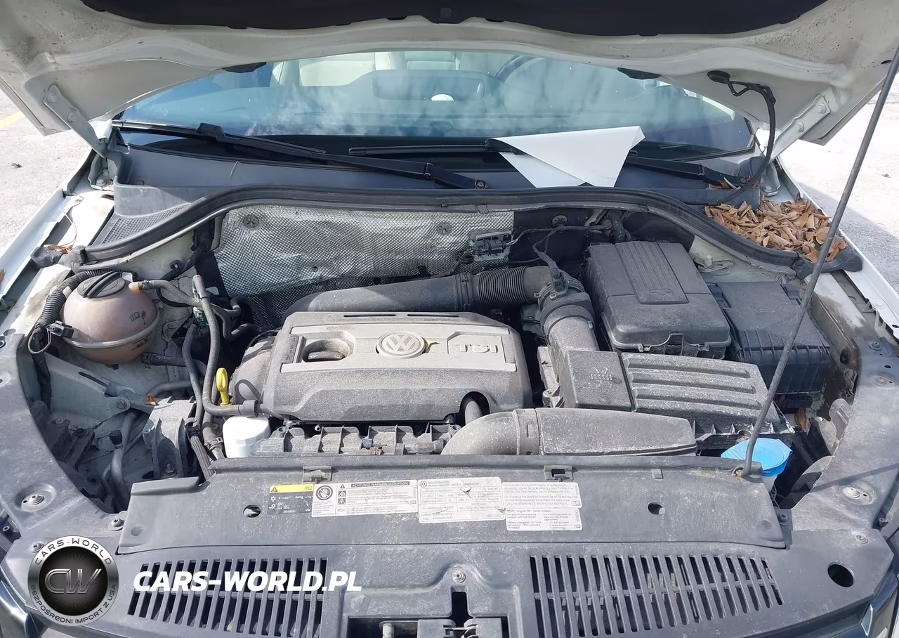 2015 Volkswagen Tiguan Sel VIN:WVGBV7AX6FW101849 - 10
