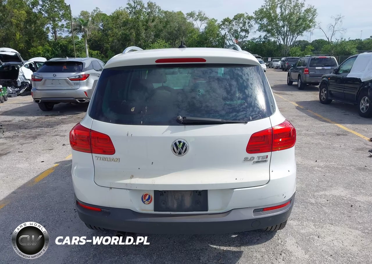 2015 Volkswagen Tiguan Sel VIN:WVGBV7AX6FW101849 - 16