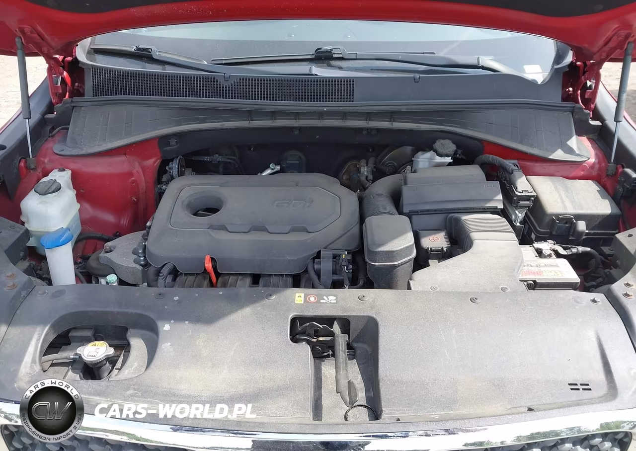 2016 Kia Sorento 2.4L Lx VIN:5XYPGDA39GG048921 - 10