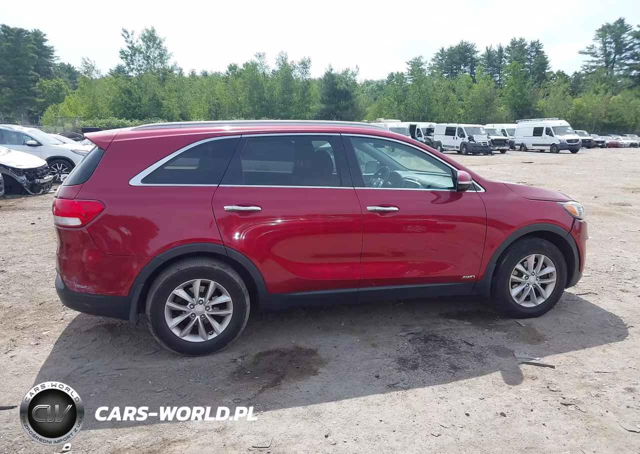 2016 Kia Sorento 2.4L Lx VIN:5XYPGDA39GG048921 - 13