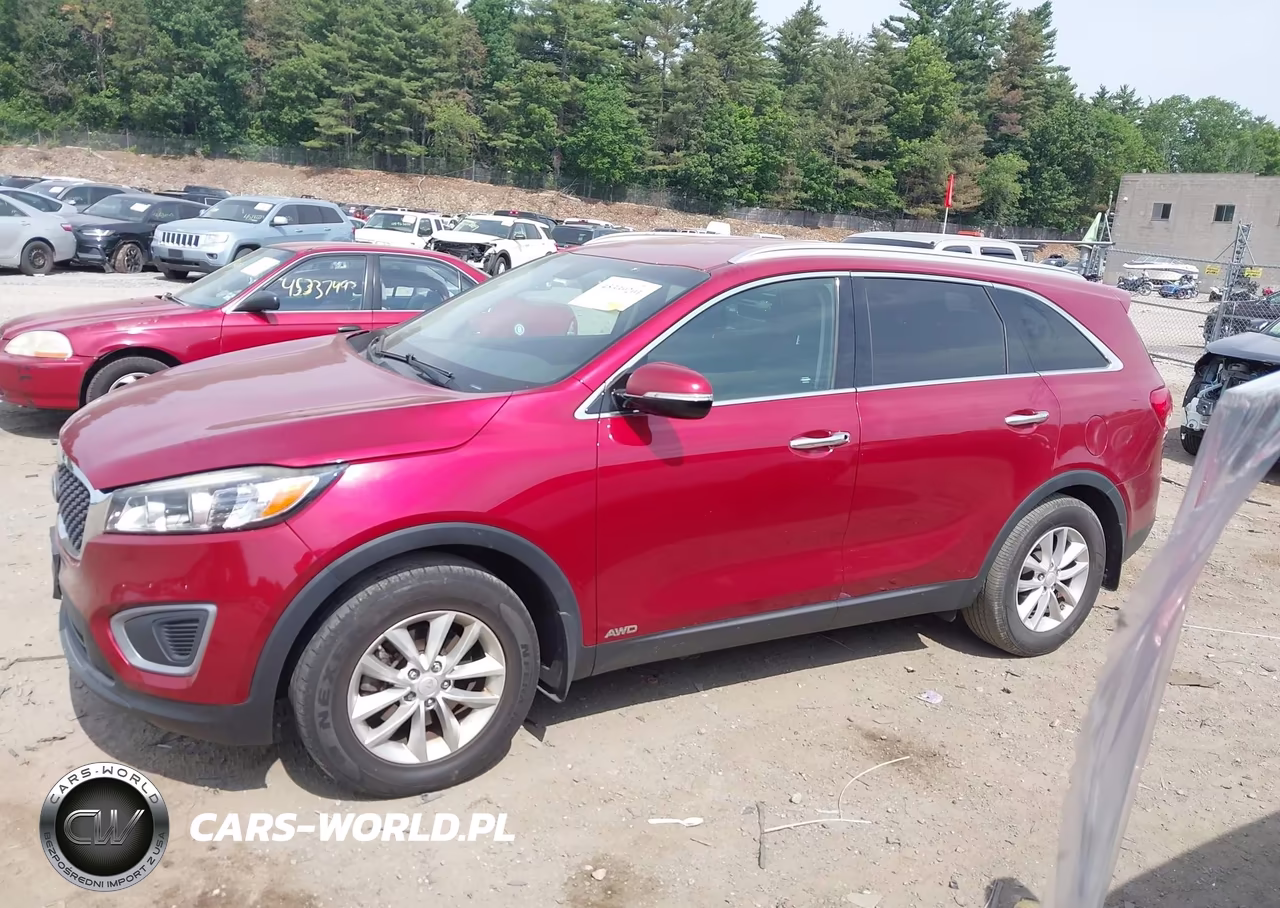 2016 Kia Sorento 2.4L Lx VIN:5XYPGDA39GG048921 - 14