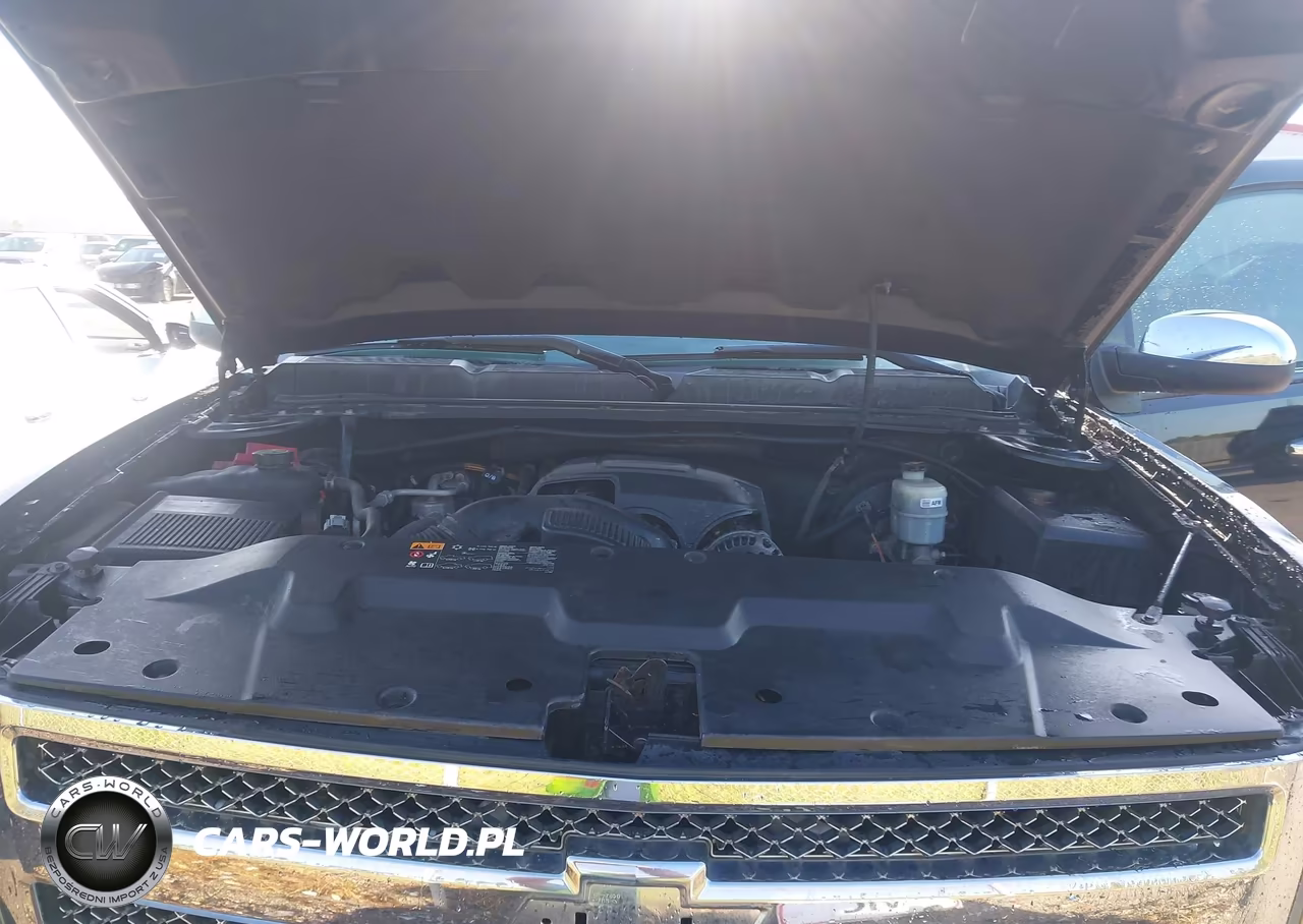 2013 Chevrolet Silverado 1500 Lt VIN:3GCPCSE01DG295685 - 10