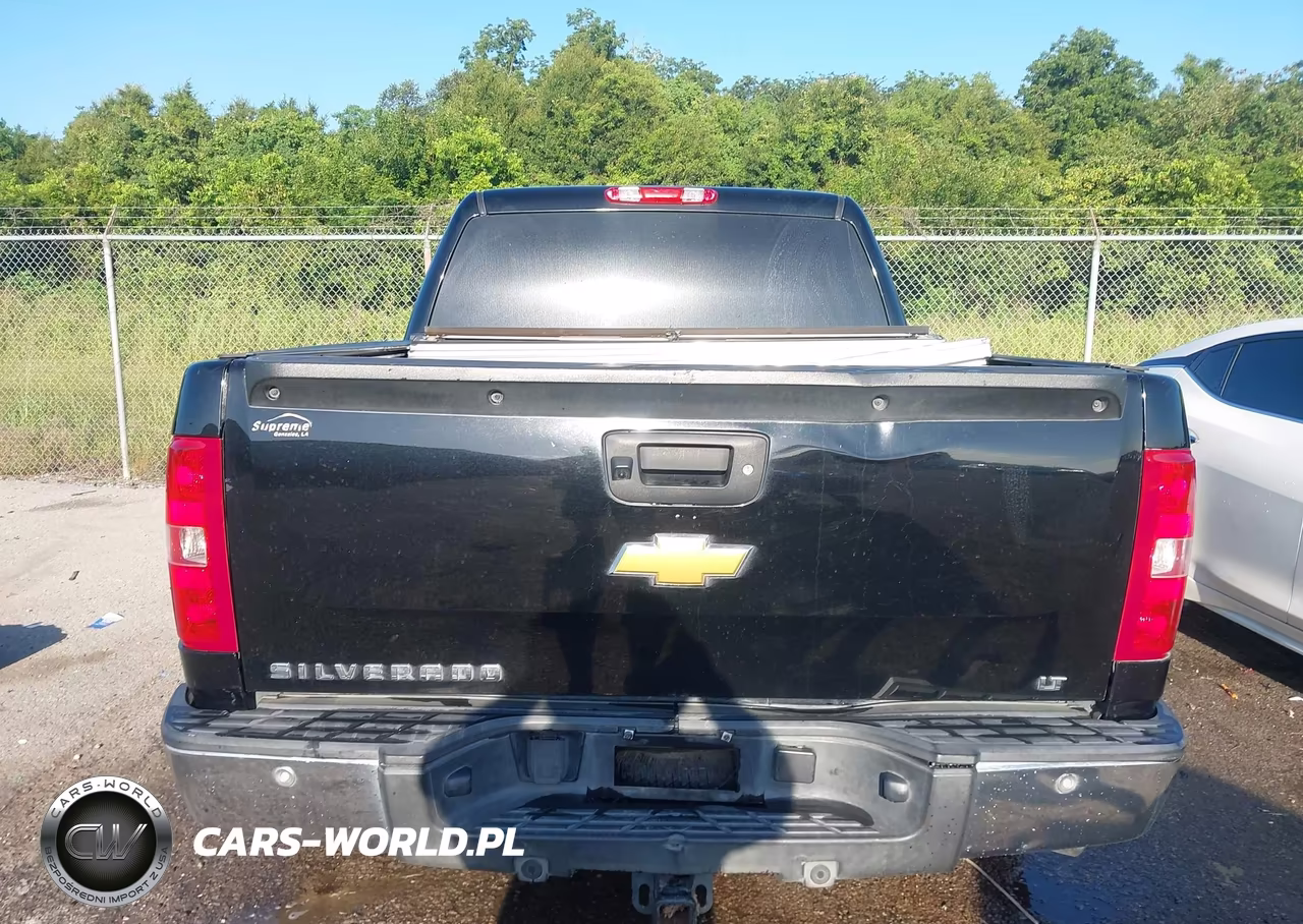 2013 Chevrolet Silverado 1500 Lt VIN:3GCPCSE01DG295685 - 16