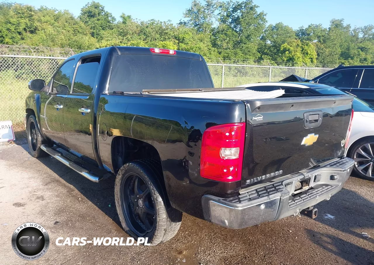 2013 Chevrolet Silverado 1500 Lt VIN:3GCPCSE01DG295685 - 3