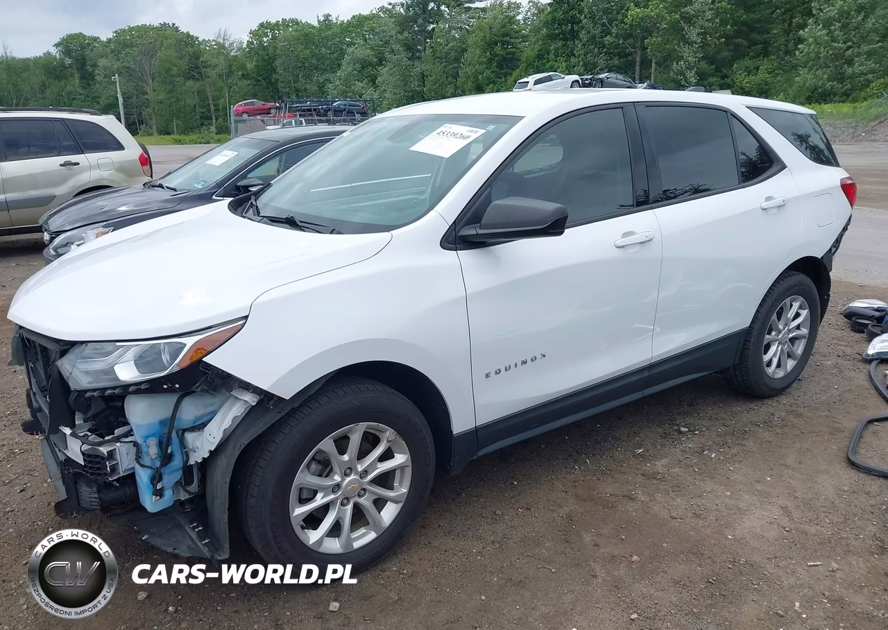 2018 Chevrolet Equinox Ls VIN:2GNAXREV8J6182460 - 2