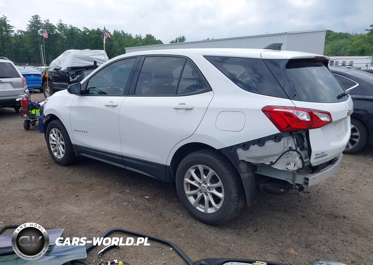2018 Chevrolet Equinox Ls VIN:2GNAXREV8J6182460 - 3