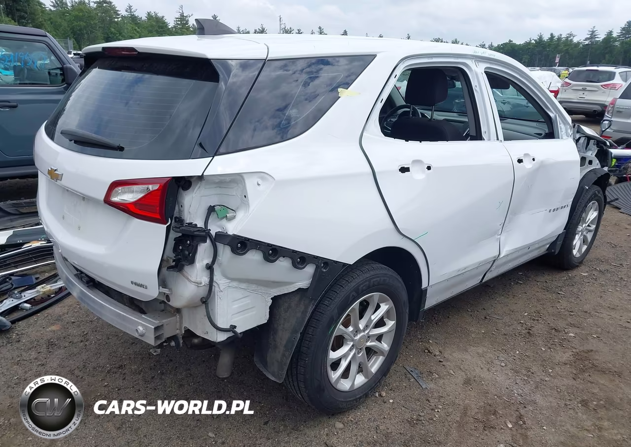 2018 Chevrolet Equinox Ls VIN:2GNAXREV8J6182460 - 4