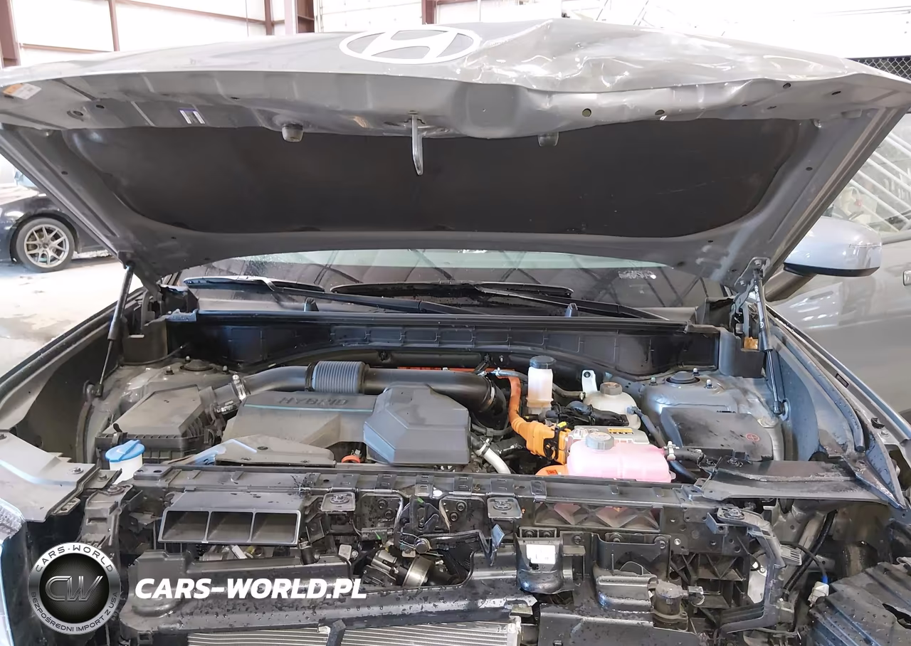 2025 Hyundai Santa Fe Hybrid Sel VIN:5NMP2DG13SH022236 - 10