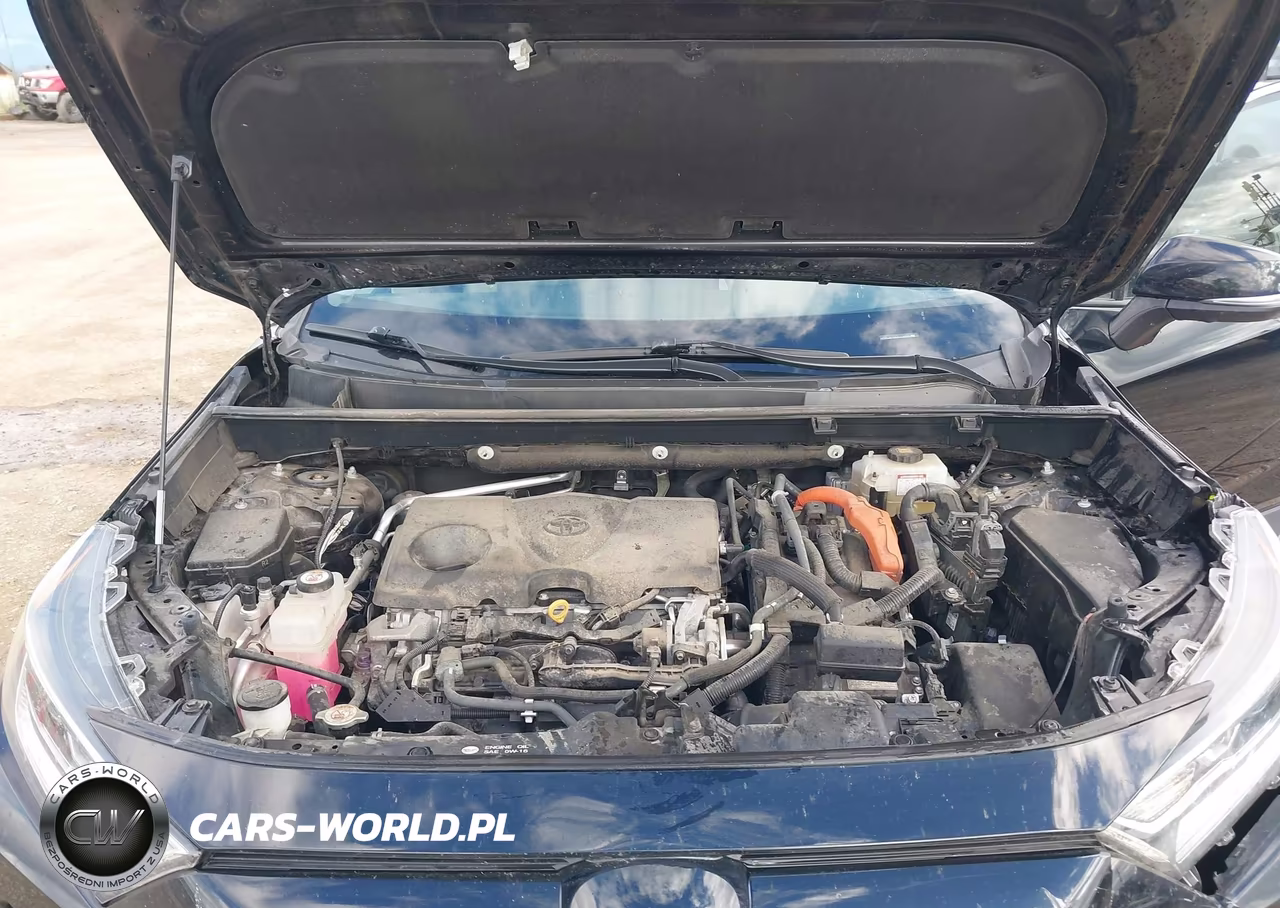 2019 Toyota Rav4 Hybrid Limited VIN:2T3DWRFV9KW019023 - 10