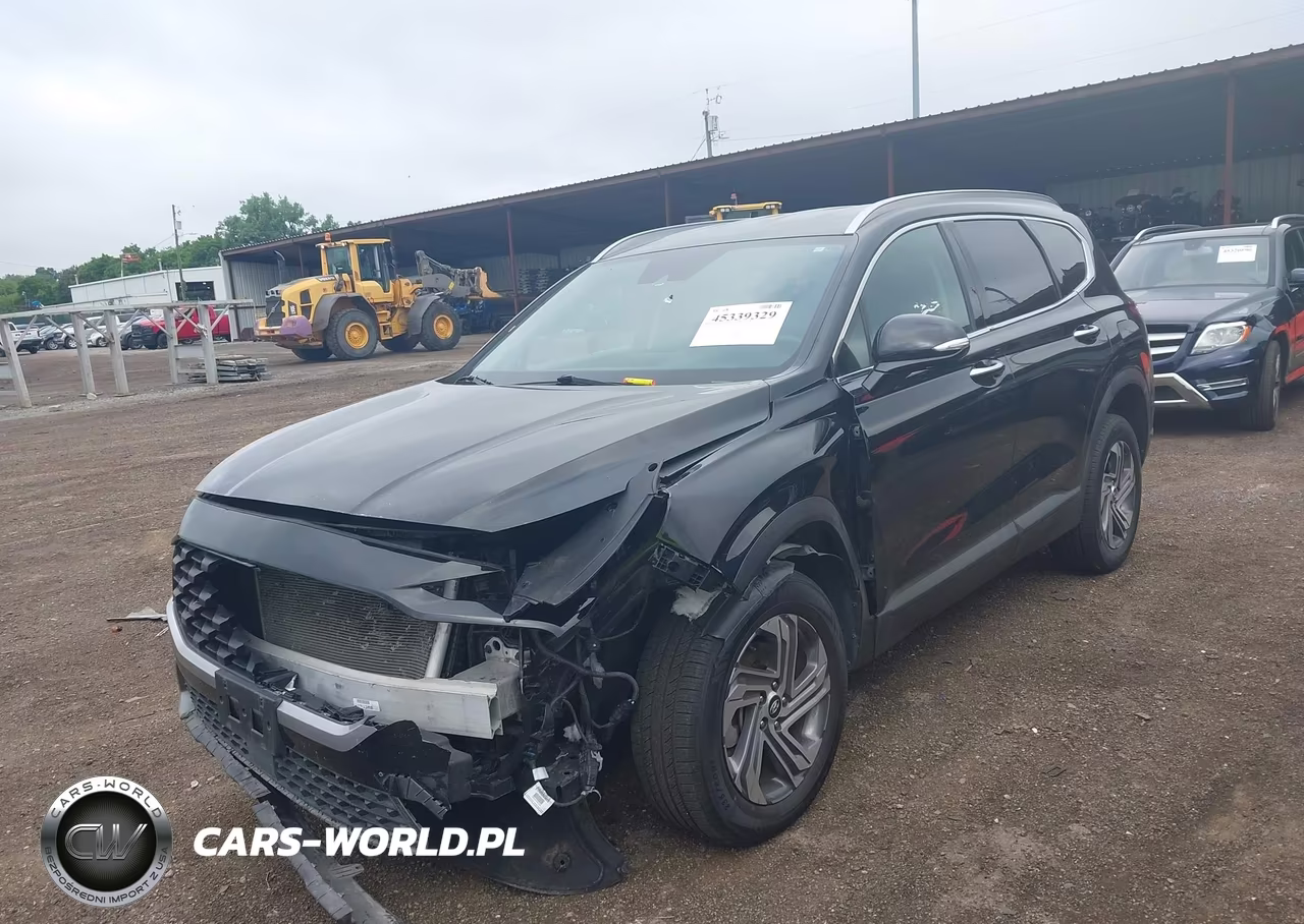 2023 Hyundai Santa Fe Sel VIN:5NMS2DAJXPH611987 - 12