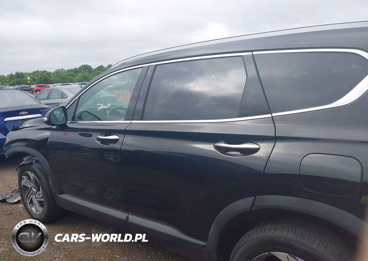 2023 Hyundai Santa Fe Sel VIN:5NMS2DAJXPH611987 - 14