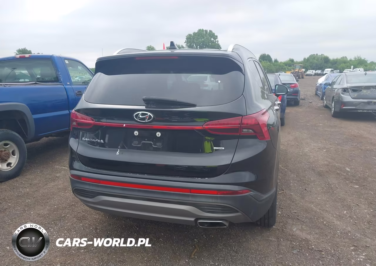2023 Hyundai Santa Fe Sel VIN:5NMS2DAJXPH611987 - 16
