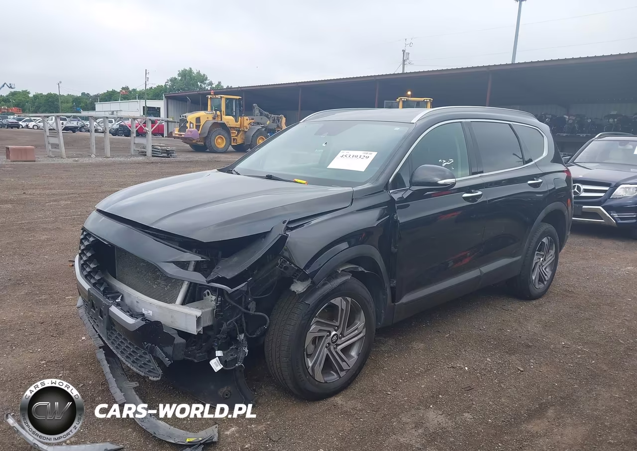 2023 Hyundai Santa Fe Sel VIN:5NMS2DAJXPH611987 - 2