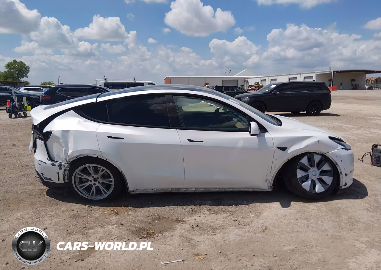 2024 Tesla Model Y Long Range Dual Motor All-Wheel Drive VIN:7SAYGDEE3RA282370 - 12