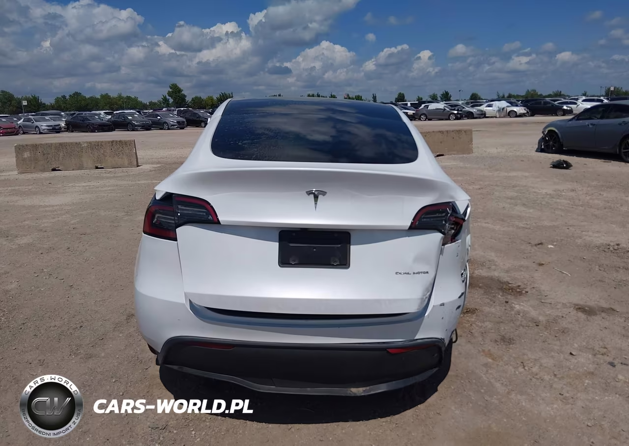 2024 Tesla Model Y Long Range Dual Motor All-Wheel Drive VIN:7SAYGDEE3RA282370 - 15