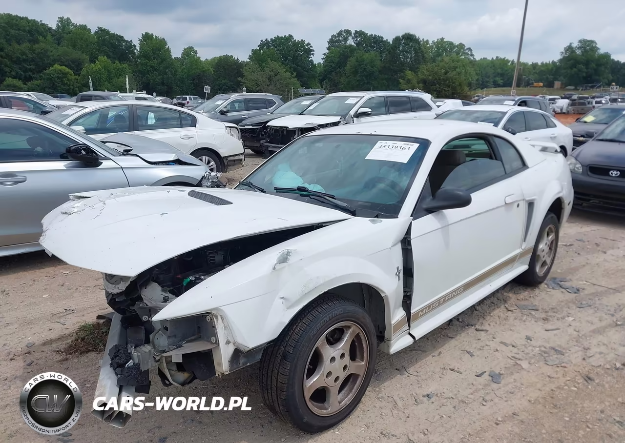 2002 Ford Mustang Deluxe-Premium VIN:1FAFP40472F132565 - 2
