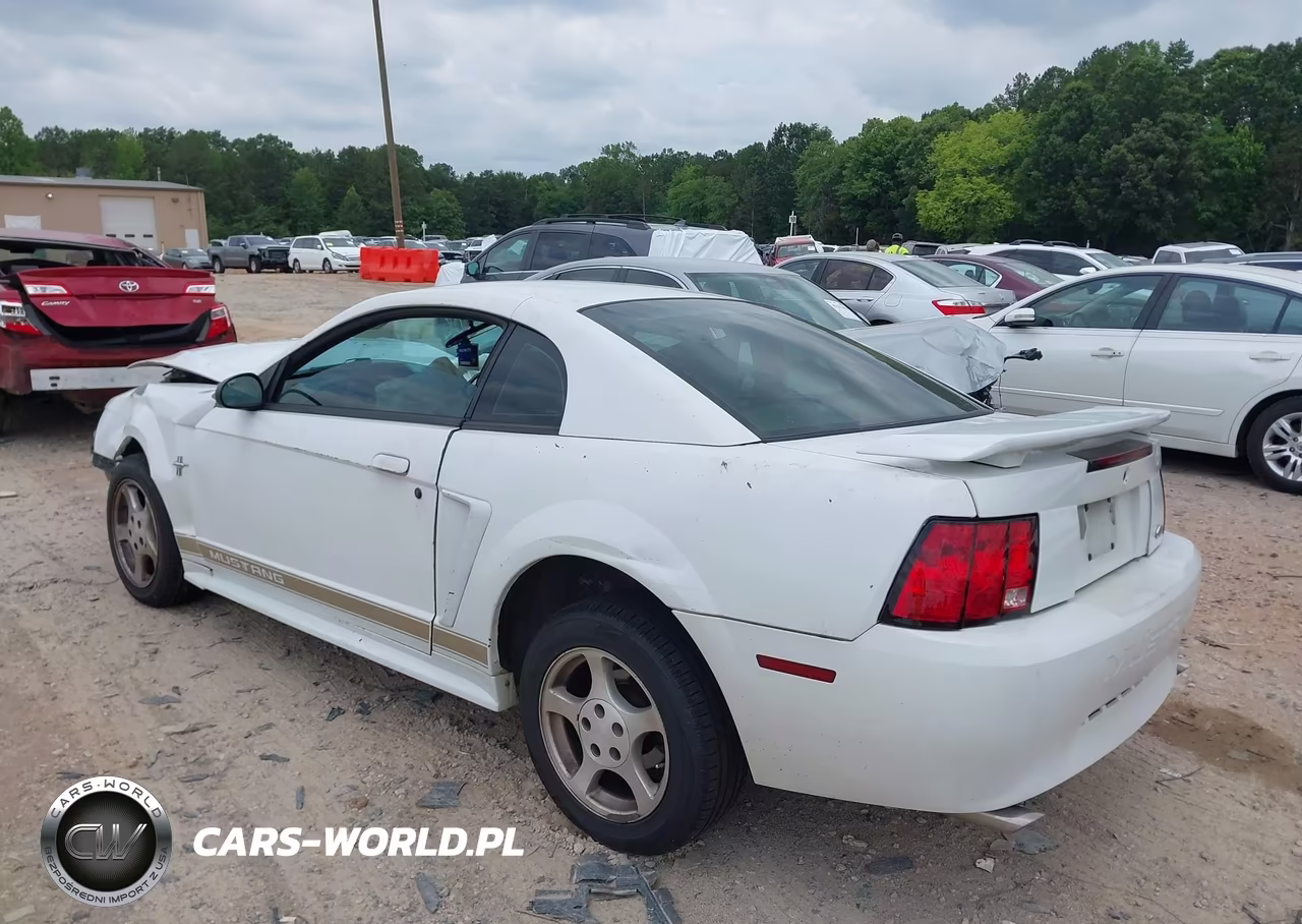 2002 Ford Mustang Deluxe-Premium VIN:1FAFP40472F132565 - 3