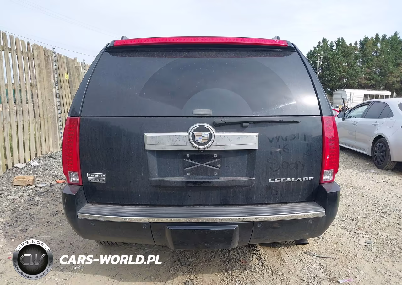 2009 Cadillac Escalade Standard VIN:1GYFK23299R124414 - 16