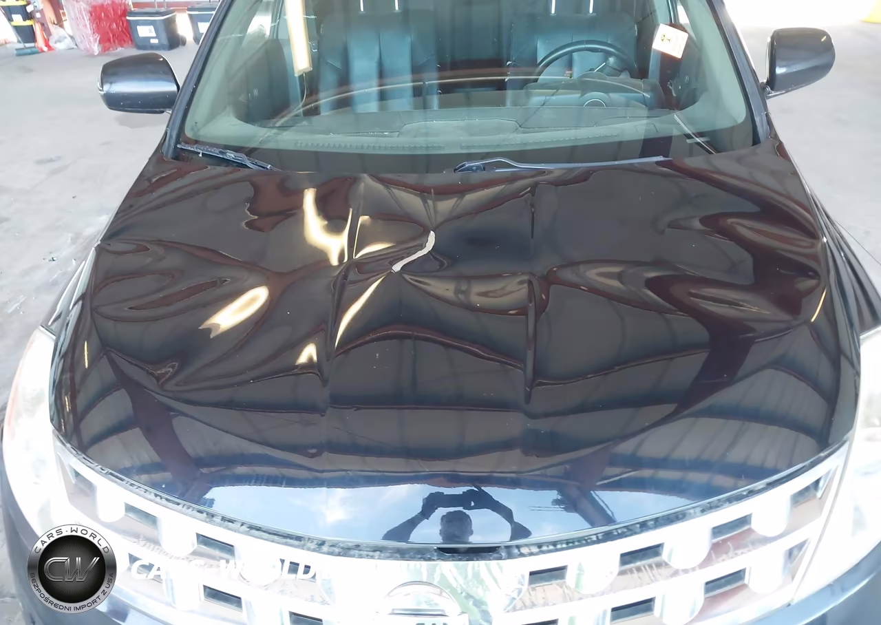 2004 Nissan Murano Se VIN:JN8AZ08W84W335470 - 6