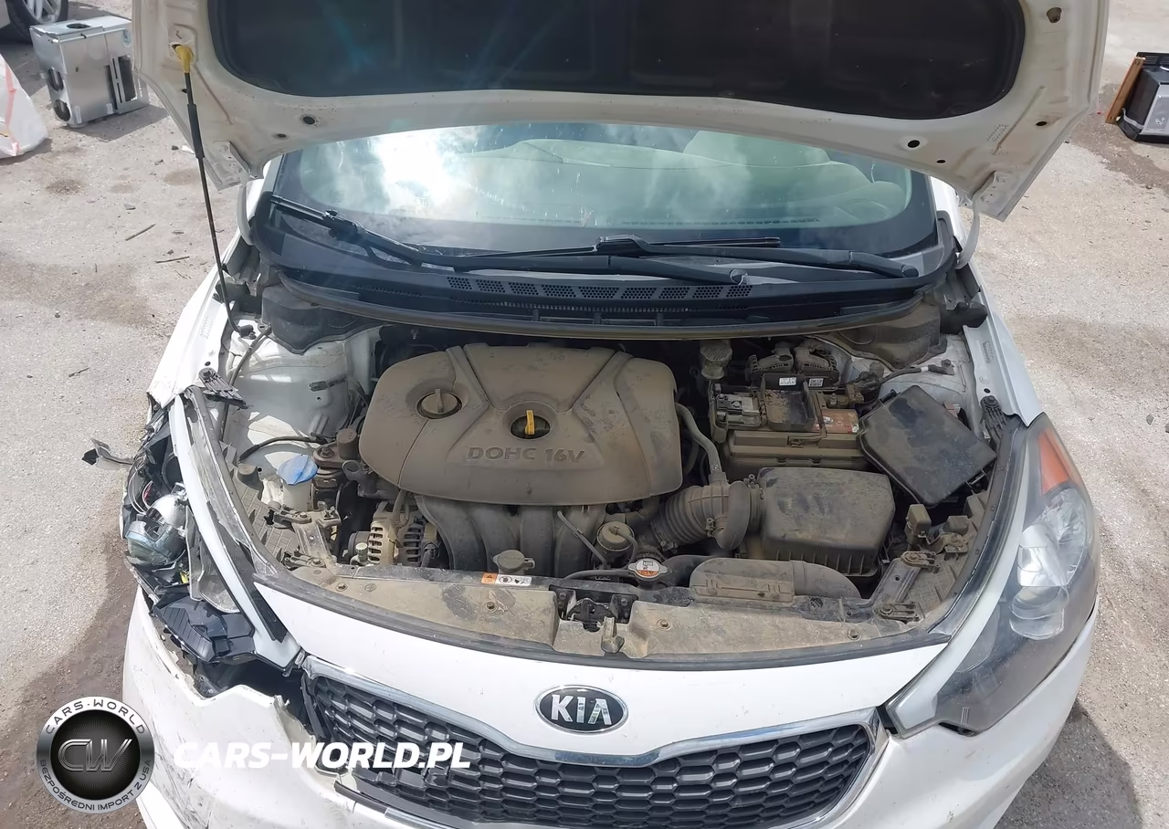 2014 Kia Forte Lx VIN:KNAFX4A6XE5134246 - 10