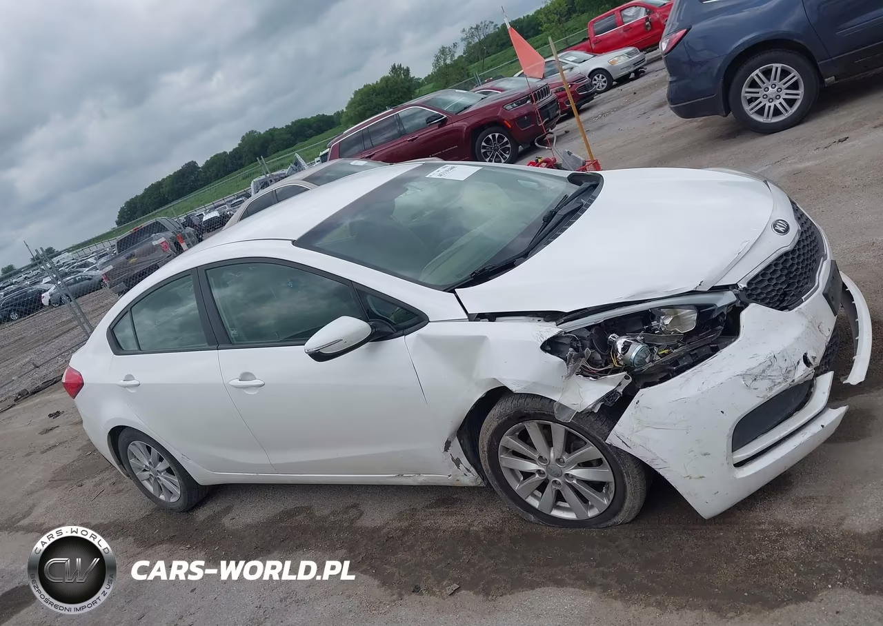 2014 Kia Forte Lx VIN:KNAFX4A6XE5134246 - 13